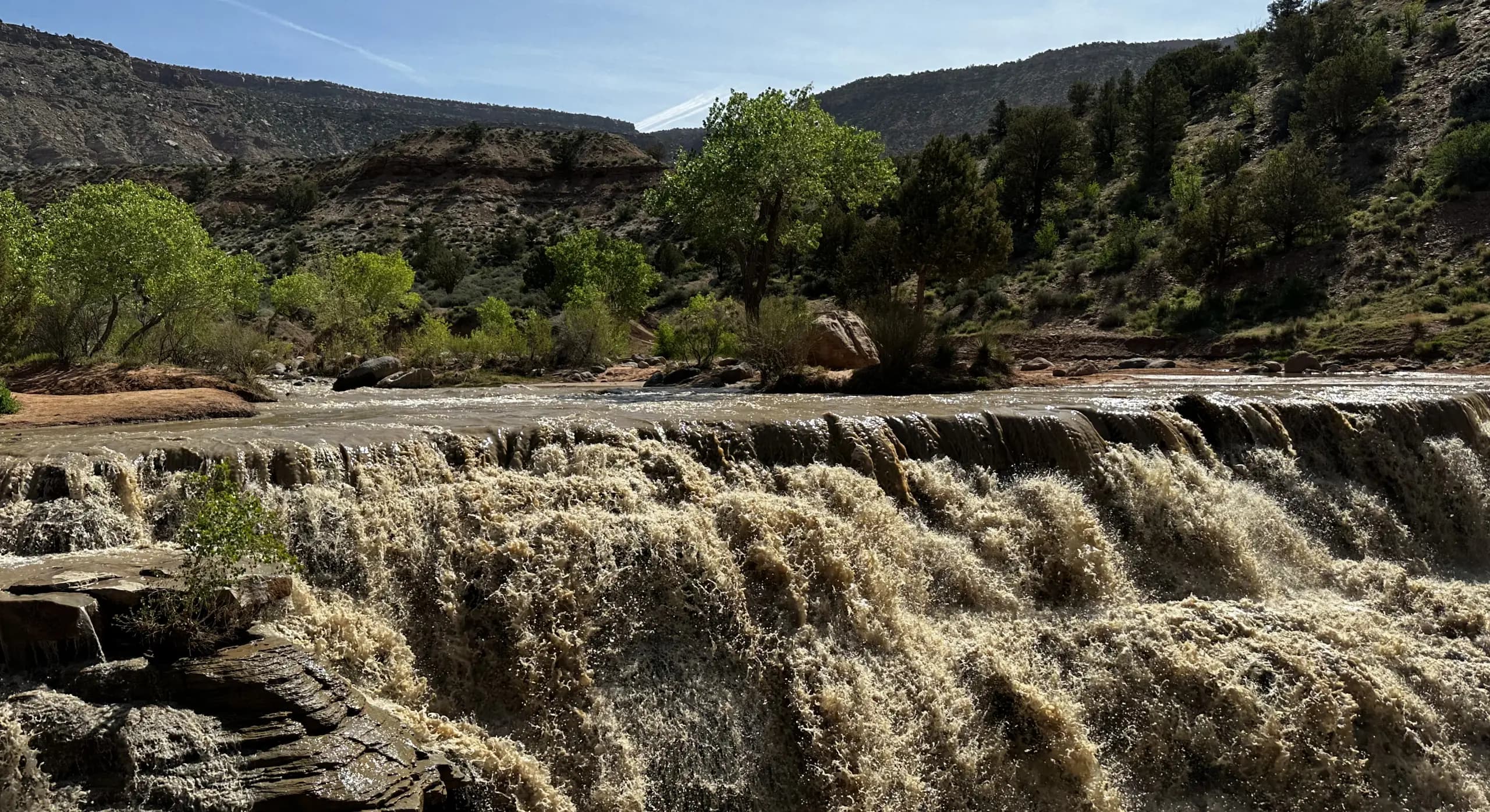 Whitewater cascade on a Southern Utah river framed by green cottonwoods and canyon walls